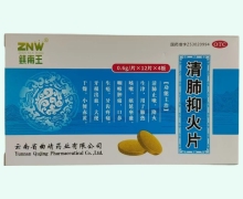 镇南王清肺抑火片价格对比 48片 曲靖药业
