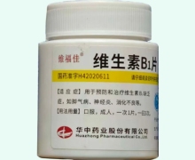 维福佳维生素B1片价格对比 1000片 华中药业