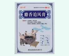 雄仁堂麝香追风膏价格对比 6片 杏林春
