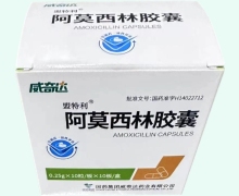 威奇达盟特利阿莫西林胶囊价格对比 100粒