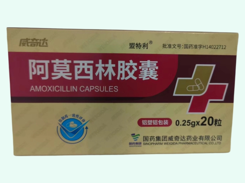 阿莫西林胶囊(盟特利/威奇达)
