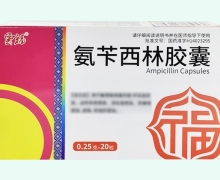 云福氨苄西林胶囊价格对比 20粒