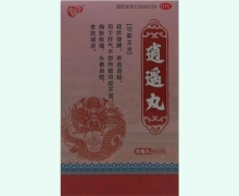 隋医堂逍遥丸(浓缩丸)价格对比 480丸