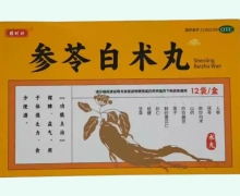 鹊时珍参苓白术丸价格对比 12袋