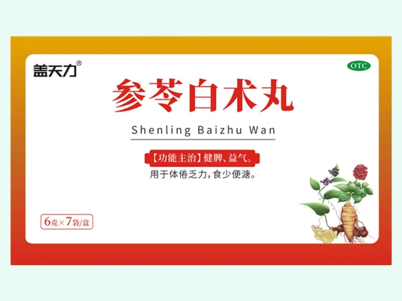 参苓白术丸(盖天力)