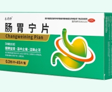 乐药师肠胃宁片价格对比 45片 东方红制药
