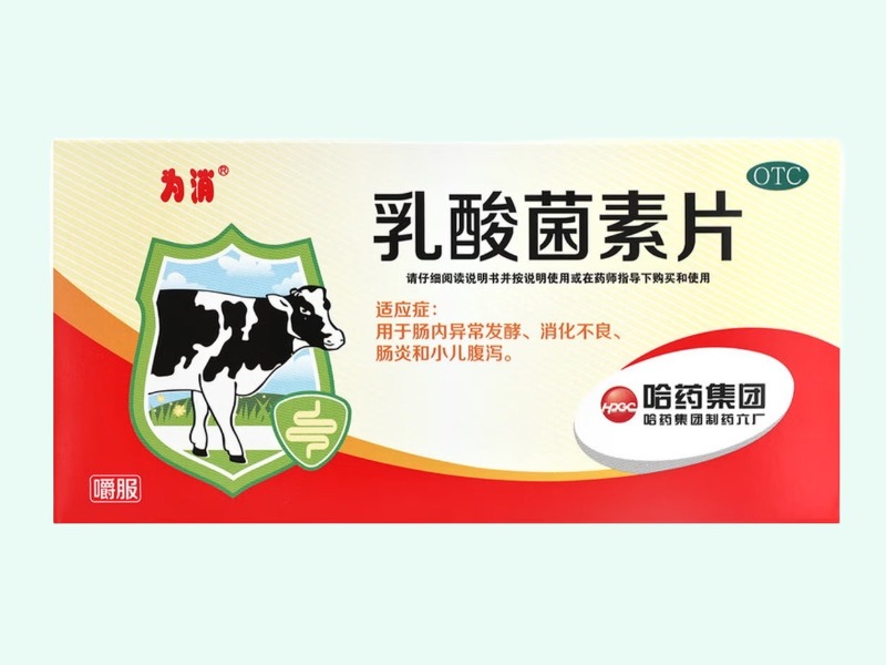 乳酸菌素片(为消)