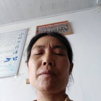 许金莲