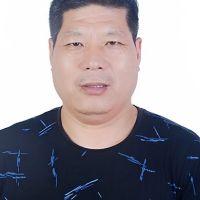 秦鹤